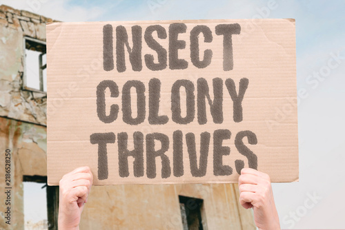 Фотография "Insect colony thrives" Pest populations establish and reproduce in filthy spaces