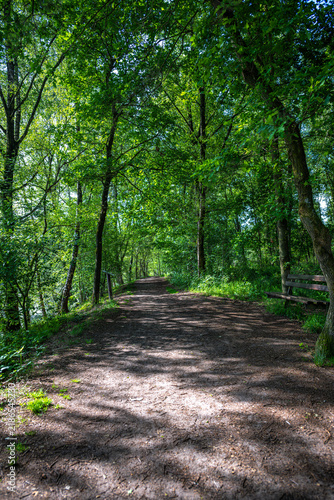 Zwillbrocker Venn Nature Reserve in Germany