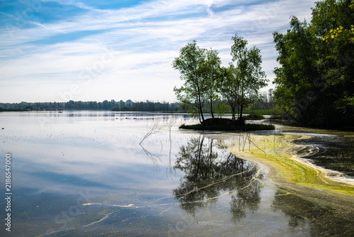 Zwillbrocker Venn Nature Reserve in Germany