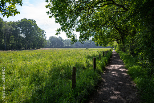 Hiking at the Zwillbrocker Venn Nature Reserve in Germany