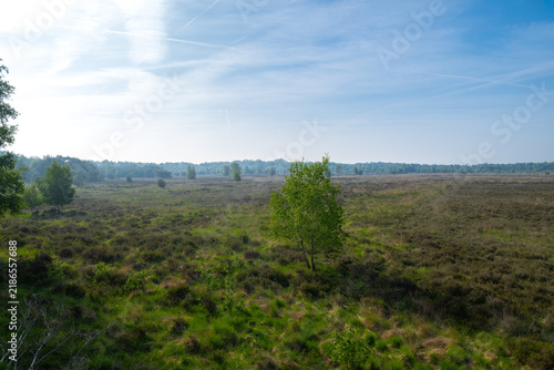 Zwillbrocker Venn Nature Reserve in Germany
