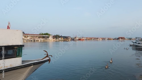 Peaceful Fishing Harbor View with Wooden Boats Anchor and Geese Swimming on Calm Sea Water, Scenic Coastal Village Port Landscape in Morning Light