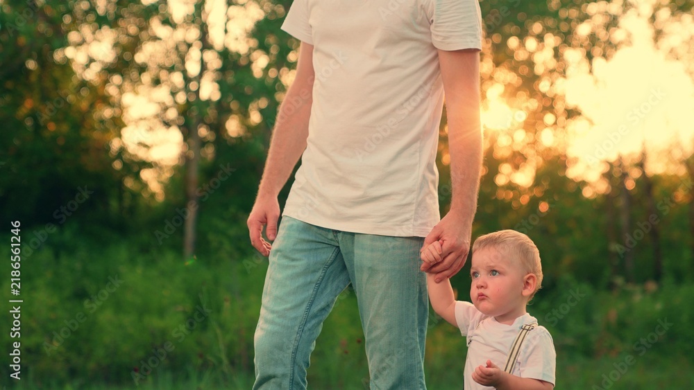 Fototapeta premium Dad, young son walking in summer park, holding hands. Happy childhood. Father, kid son walking in nature. Happy family in outdoors. Family picnic in park, healthy lifestyle. Dad takes care little boy