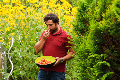 Foto Gardener harvesting fresh homegrown vegetables on a sunny summer day