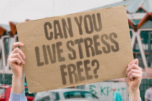 Fotografie "Can you live stress free?" Genuine elimination of life pressure remains physiologically impossible despite aspirational wellness claims