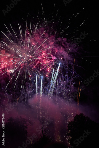 Pink silver and blue fireworks bursting above dark tree silhouettes at night