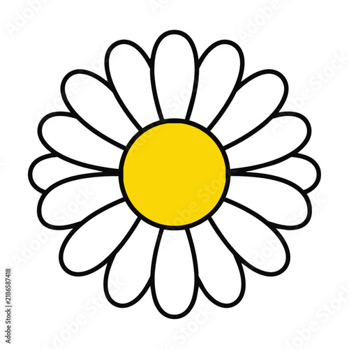 Minimalist daisy flower icon with a white blossom and yellow center on a white background, simple nature and spring design concept