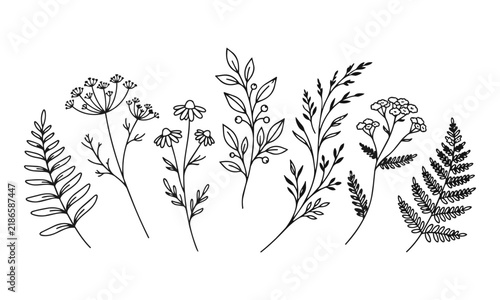 Elegant wildflower branches and fern leaves in minimalist black ink line art style isolated on white background Minimalist botanical design concept