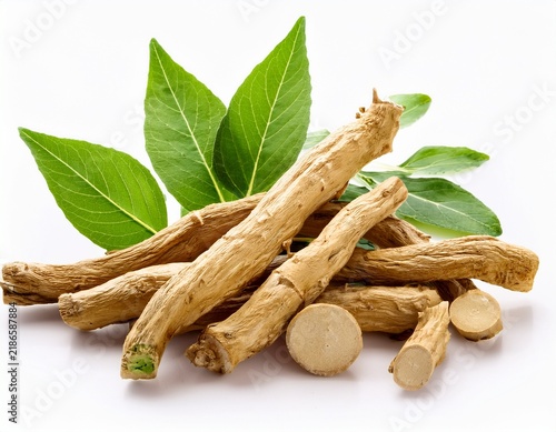 fresh ashwagandha roots with green leaves isolated on white background