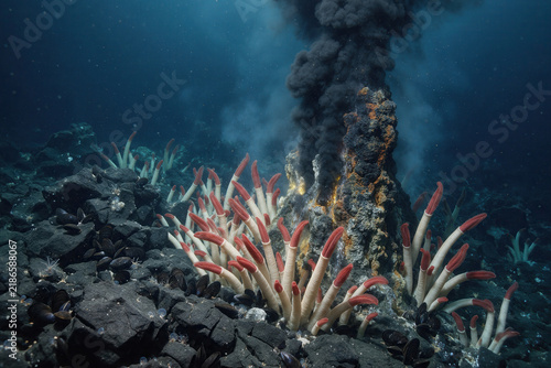 Cuadro en lienzo Deep Sea Hydrothermal Vent With Tube Worms On The Dark Ocean Floor
