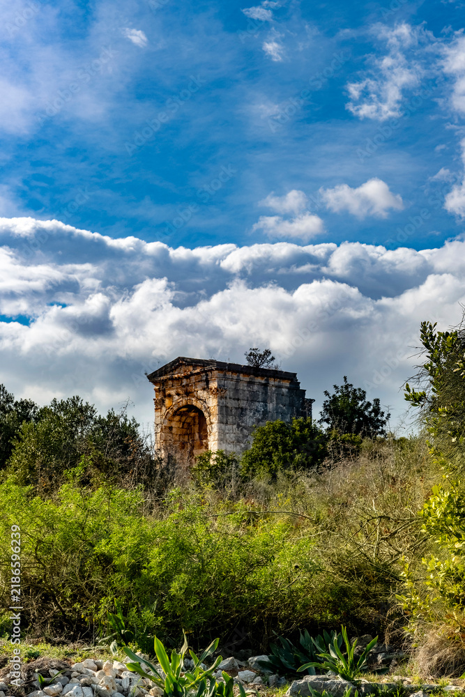 Obraz premium Ancient roman archway ruins set in lush mediterranean landscape. Roman arch standing amidst lush Mediterranean vegetation and wild greenery under dramatic blue sky with fluffy white clouds.