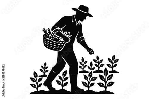 Farmer walking through garden rows carrying a woven basket of fresh vegetables