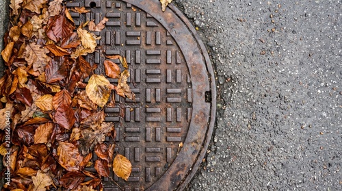 Autumn leaves covering a rusted metal manhole cover on a grey asphalt road surface