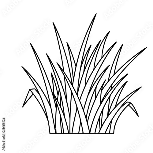 Outline of a clump of grass