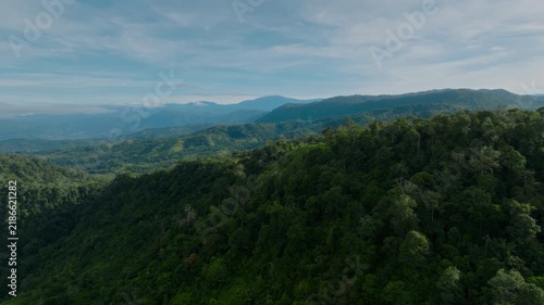 Expansive Lush Forest Landscape. Panoramic High Altitude Image Of Lush Jungle Canopy. Broad Aerial Perspective Showcasing Layered Rainforest Canopy And Distant Ocean View