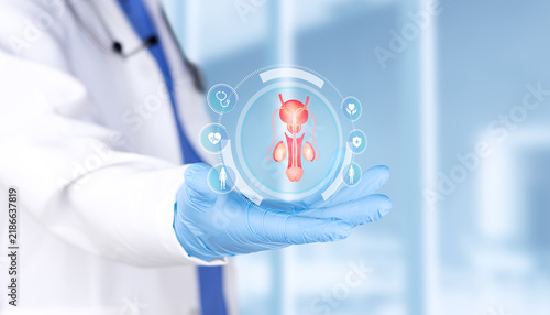 Canvastavla Doctor analyzing prostate chart for diagnosis of infertility, erectile dysfunction and prostatitis