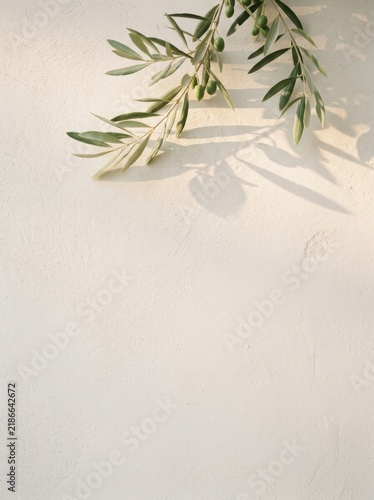 Sun-drenched olive branches with unripe green olives cast long, dramatic shadows on a textured, off-white stucco wall, evoking Mediterranean warmth