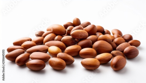 oak wood bean white background background by vita