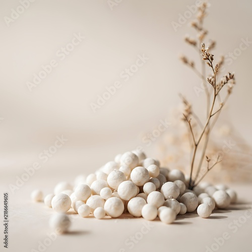 A pile of small white spheres and a single dried branch on a soft beige background