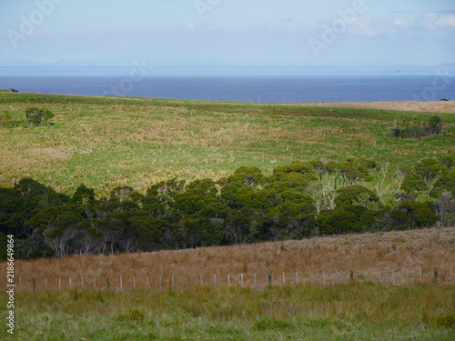 Canvastavla Tawharanui Peninsula, north of Auckland NZ: rolling pastures, native bush, coastal shrubland and views across the Hauraki Gulf reserve