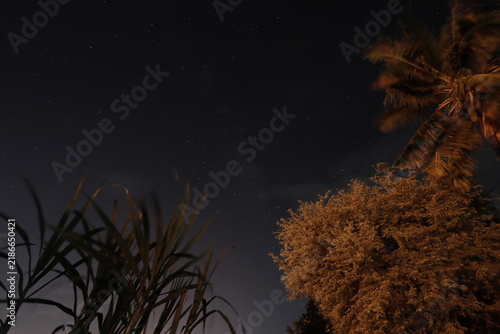 nature, grass, tree, plant, landscape, green, spring, summer, field, sky, blue, meadow, autumn, leaf, forest, abstract, water, flower, farm, night, natural, wind, yellow, season, illustration