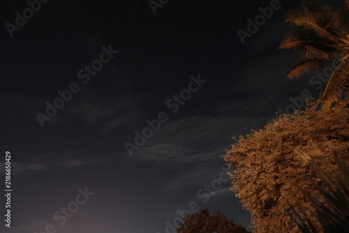 nature, grass, tree, plant, landscape, green, spring, summer, field, sky, blue, meadow, autumn, leaf, forest, abstract, water, flower, farm, night, natural, wind, yellow, season, illustration