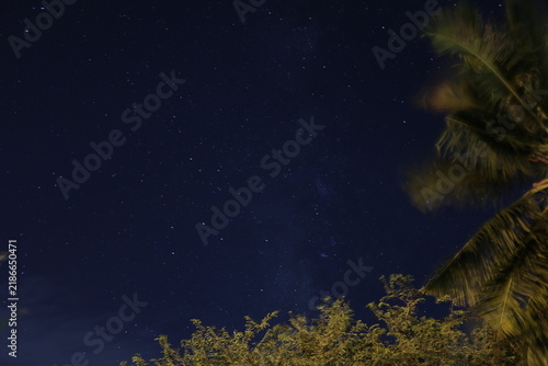 nature, grass, tree, plant, landscape, green, spring, summer, field, sky, blue, meadow, autumn, leaf, forest, abstract, water, flower, farm, night, natural, wind, yellow, season, illustration