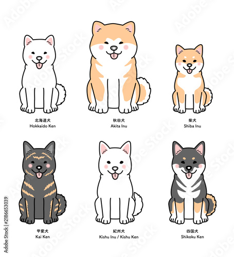 Tapety artystyczne 6種類の日本犬（お座り・正面）のセットのベクターイラスト