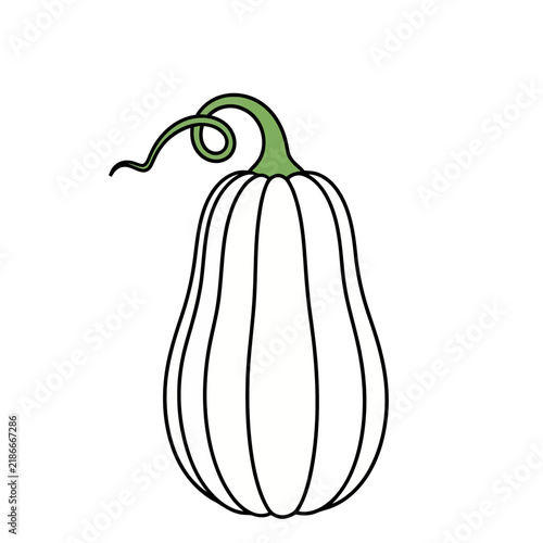 White elongated pumpkin with green stem and curl