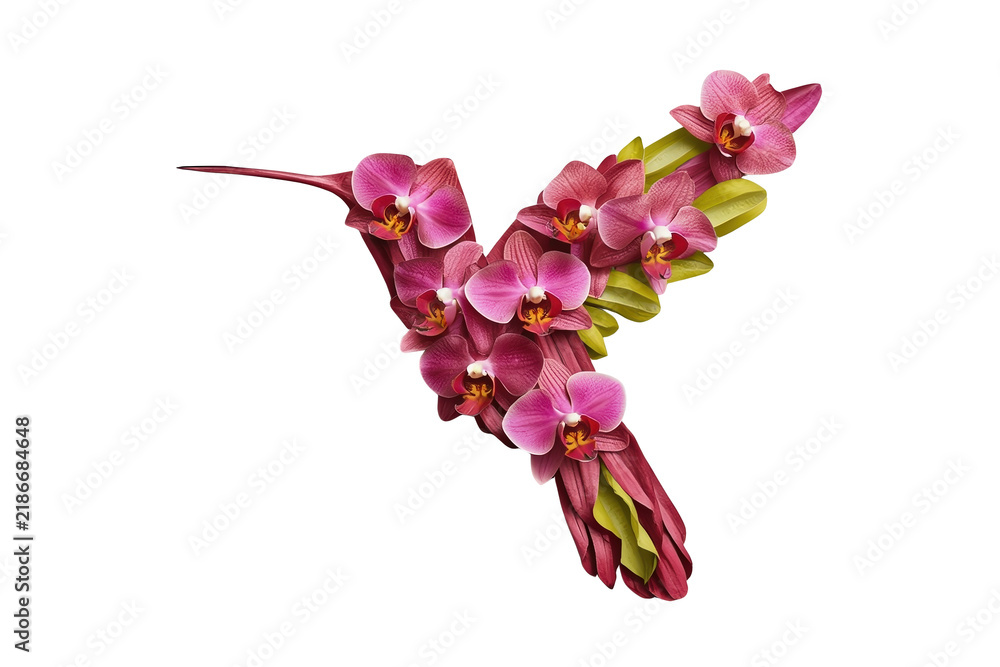Obraz premium Floral hummingbird made of orchid blossoms