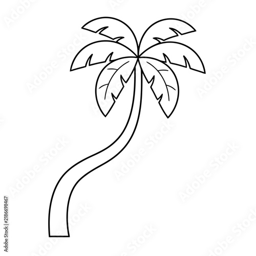 Palm tree outline