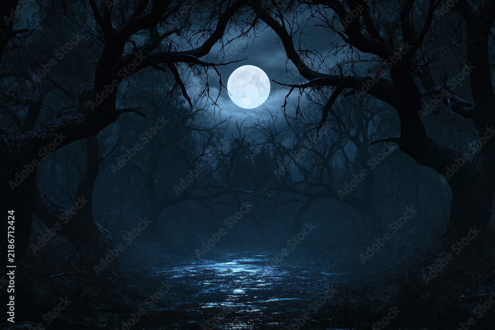 Obraz premium Moon illuminating a dark mysterious forest landscape with spooky trees and mist under a bright full night moonlight