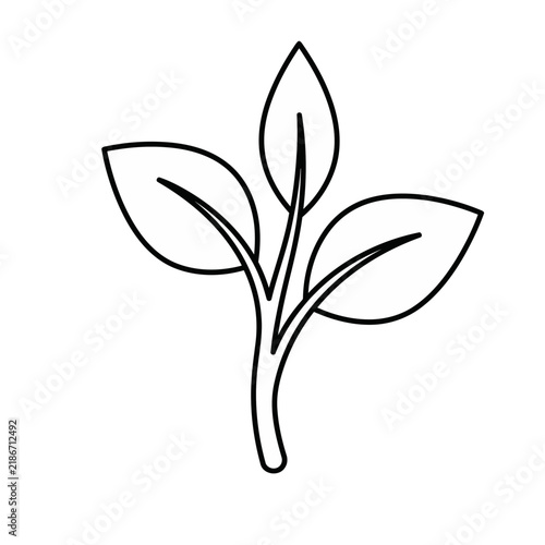 Outline of a plant sprout with three leaves