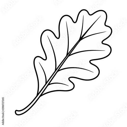 Oak leaf outline