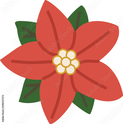 Poinsettia Flower
