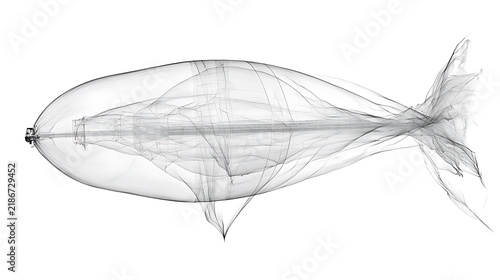 Internal structure of aquatic fish larva