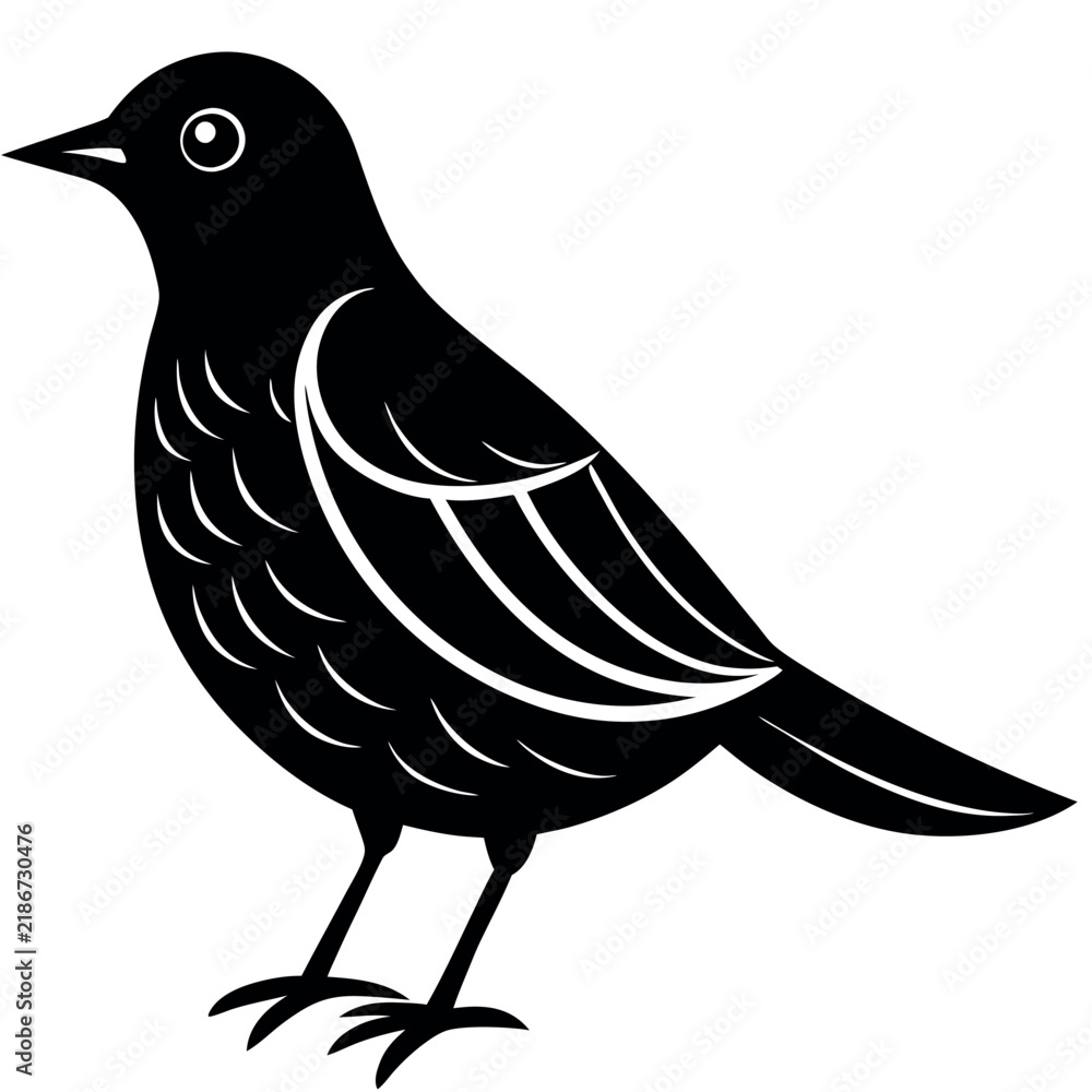 Fototapeta premium vector illustration of a bird
