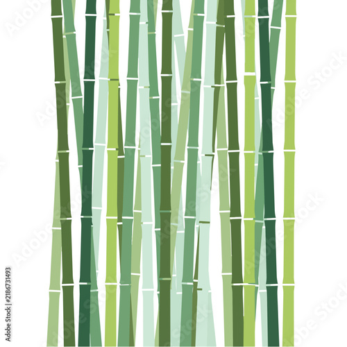 Green Bamboo Forest Vector Illustration