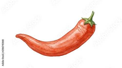 Red chili pepper illustration isolated on white background for culinary design projects.