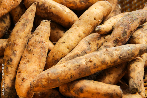 Obraz na plátne Fresh sweet potatoes lie close, earthy tones dominate
