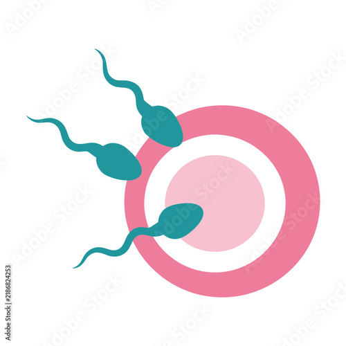 Sperm cells fertilizing egg in vitro conception medical illustration