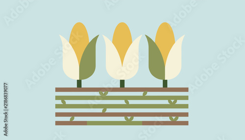Stylized illustration of three ripe corn cobs growing in a vibrant garden bed, with green leaves against a soft blue background.