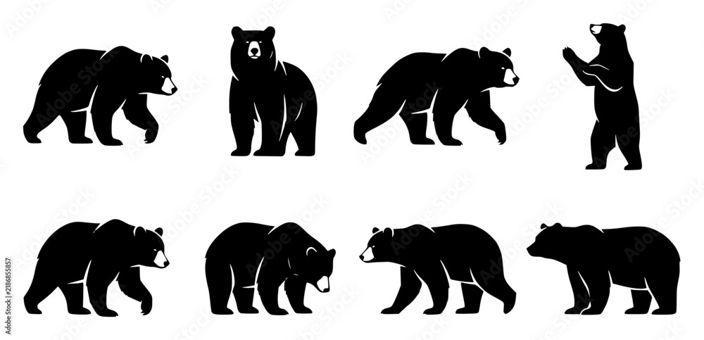 Fototapeta premium Black bear silhouette poses set with simple line art design featuring sketches, drawings, vector graphics with minimalist and simple illustrations