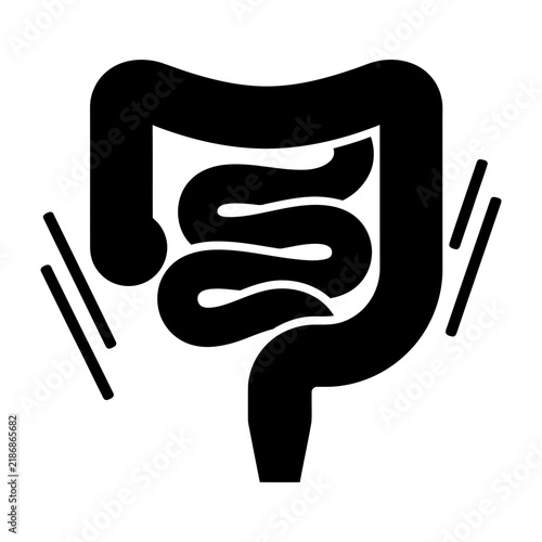 Human large intestine anatomy illustration
