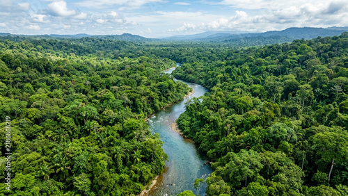 Winding river flowing through green rainforest
