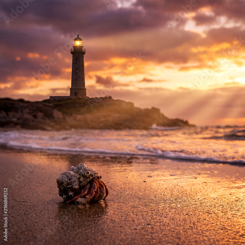 A captivating twilight scene featuring a hermit crab on the wet beach sand with a distant glowing lighthouse at sunset.