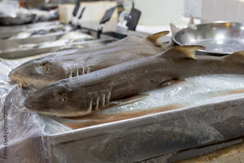 Fotografie Freshly caught small sharks displayed on ice at a seafood market stall, ready for sale