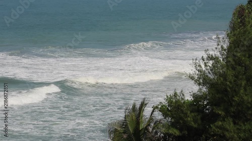Ocean waves roll toward a lush, green cliffside. Tropical trees and palms frame the scene. Clear sky and calm waters suggest a peaceful day. Perfect for travel, vacation, or coastal lifestyle themes