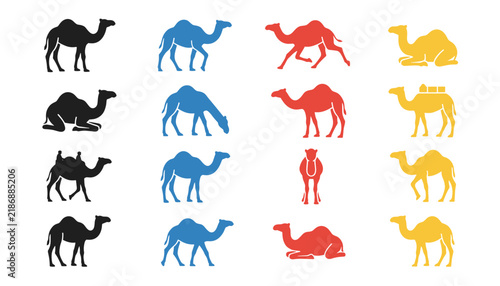 Bild auf Leinwand Camel Poses and Actions Silhouettes Set Vector Illustration