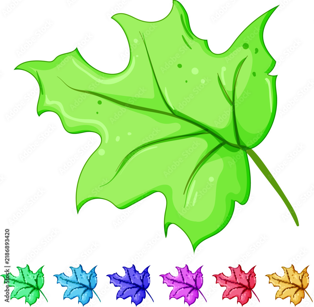 Obraz premium canadian maple leaf cartoon. autumn flag, symbol yellow, tree foliage canadian maple leaf sign colorful illustration